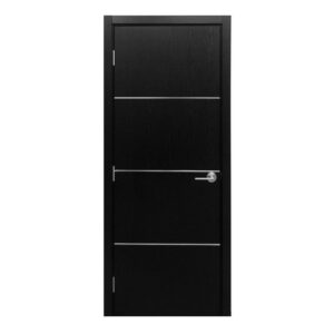 Modern Interior Door HG-008 Black Ash & Molding Frame