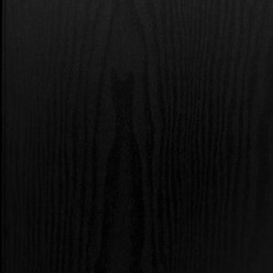 Modern Interior Door HG-008 Black Ash & Molding Frame