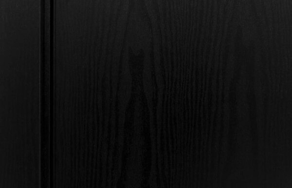 Modern Interior Door HG-008 Black Ash & Molding Frame