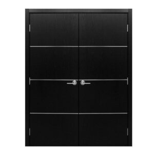 Modern Interior Door HG-008 Black Ash & Molding Frame