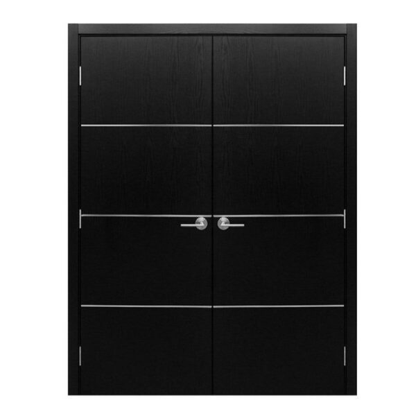 Modern Interior Door HG-008 Black Ash & Molding Frame