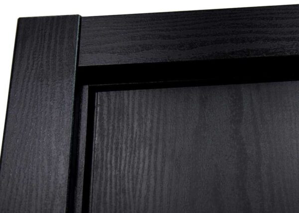Modern Interior Door HG-008 Black Ash & Molding Frame
