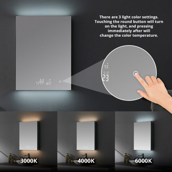 Savera 24 W x 32 H Recessed or Surface-Mount LED Mirror Medicine Cabinet with Defogger