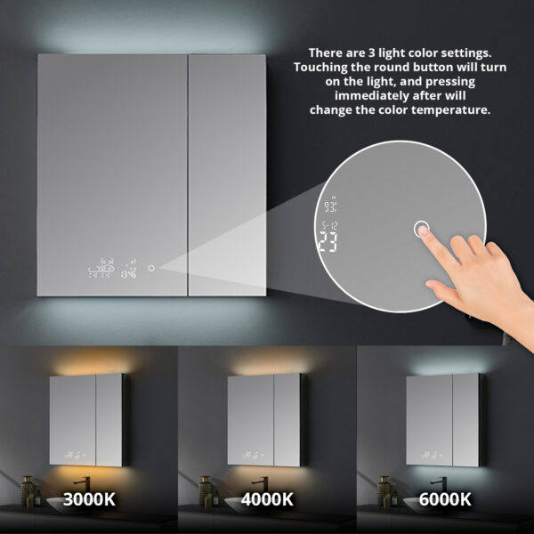 Savera 30 W x 32 H Recessed or Surface-Mount LED Mirror Medicine Cabinet with Defogger