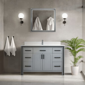 Ziva 48W x 22D Dark Grey Bath Vanity