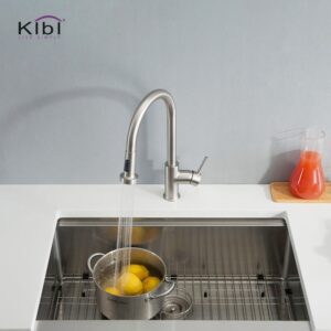 KIBI USA C-KKF2002-KSD100 Casa 16 1/2 Inch Single Hole Deck Mount Single Level Pull-Down Kitchen Faucet with Sprayer and Soap Dispenser