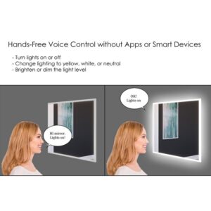 Castello USA CB-SM430-48-30 Lisa 48 x 30 Inch Smart Mirror