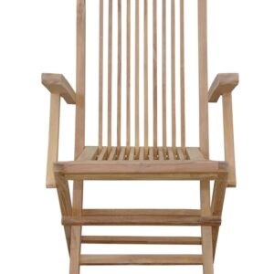 Anderson Bristol Folding Armchair