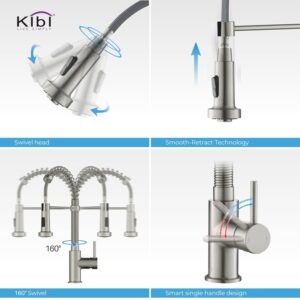 KIBI USA KKF2003 Aurora 17 Inch Single Hole Deck Mount Single Handle High Arc Pull-Down Kitchen Faucet with Sprayer