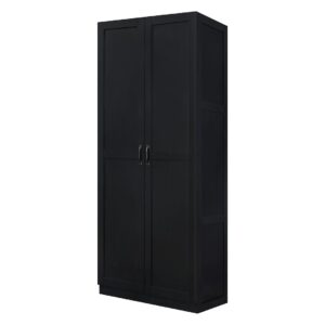 Manhattan Comfort Hopkins Modern Freestanding Storage Closet with 7 Shelves in Black (Set of 2)