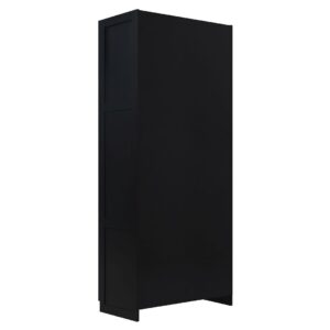 Manhattan Comfort Hopkins Modern  Storage Closet 3.0 in Black - Set of 2