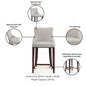 Manhattan Comfort Modern Shubert Counter Stool Upholstered in Light Grey Leatherette with Beech Wood Legs - Set of 2