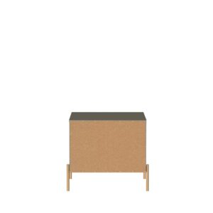 Manhattan Comfort Jasper Nightstand with Steel Gold Legs in Grey Gloss