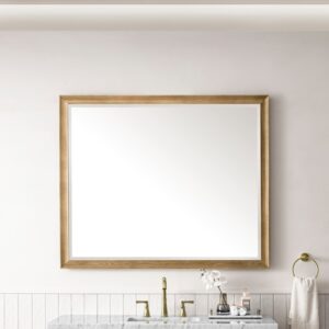 James Martin 735-M48-LNO Glenbrooke 48 Inch Rectangle Ash Solid Bathroom Mirror