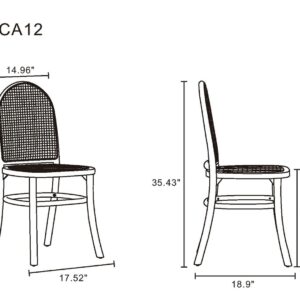 Manhattan Comfort Paragon Dining Chair 2.0 in Black and Cane - Set of 2