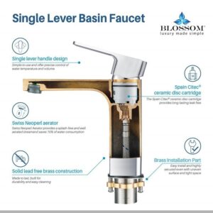 Blossom F01 118 6 1/4 Inch Single Handle Bathroom Faucet