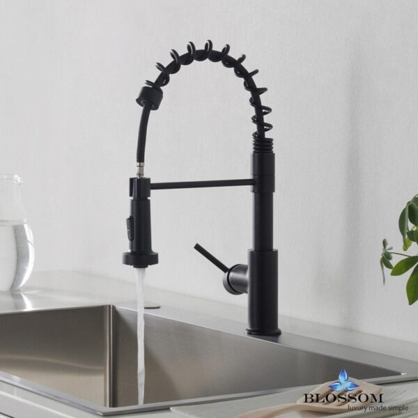 Blossom F01 205 04 Single Handle Pull Down Kitchen Faucet in Matte Black F01 205 04 F0120504