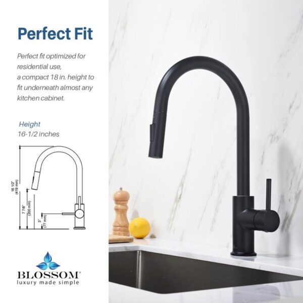 Blossom F01 206 16 1/2 Inch Single Handle Pull Down Kitchen Faucet