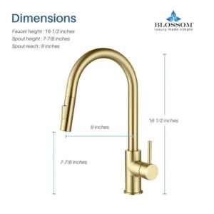 Blossom F01 206 16 1/2 Inch Single Handle Pull Down Kitchen Faucet