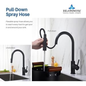 Blossom F01 206 16 1/2 Inch Single Handle Pull Down Kitchen Faucet