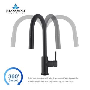 Blossom F01 206 16 1/2 Inch Single Handle Pull Down Kitchen Faucet