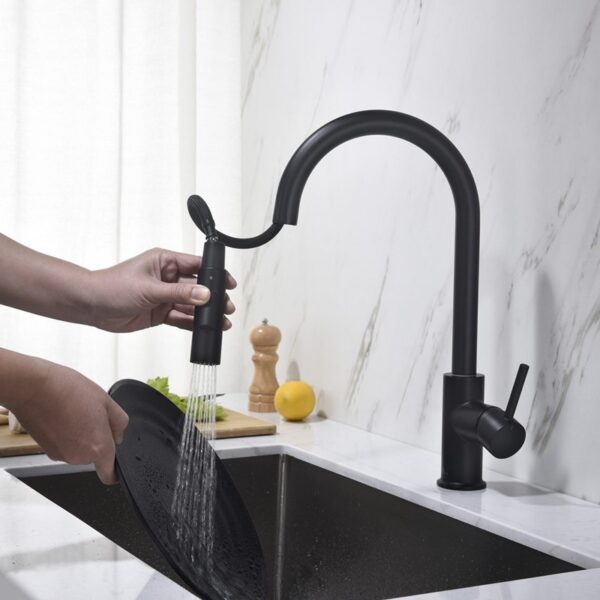 Blossom F01 206 16 1/2 Inch Single Handle Pull Down Kitchen Faucet