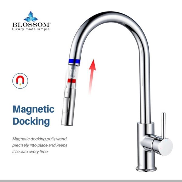 Blossom F01 206 16 1/2 Inch Single Handle Pull Down Kitchen Faucet