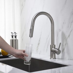 Blossom F01 206 16 1/2 Inch Single Handle Pull Down Kitchen Faucet