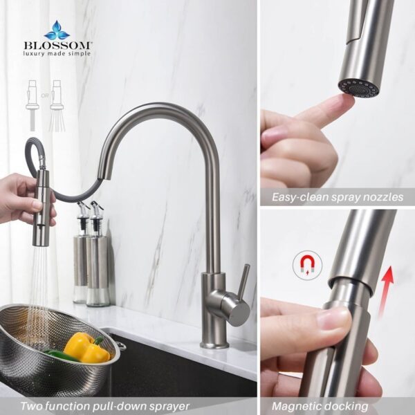 Blossom F01 206 16 1/2 Inch Single Handle Pull Down Kitchen Faucet