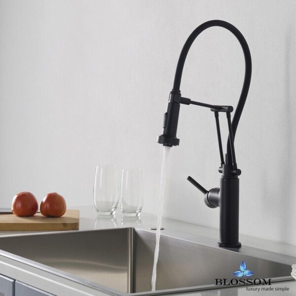 Blossom F01 208 04 Single Handle Pull Down Kitchen Faucet in Matte Black F01 208 04 F0120804