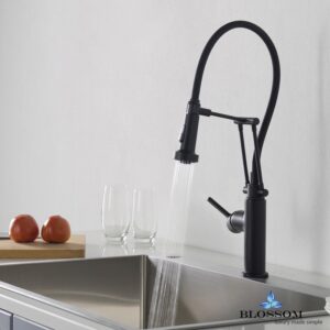 Blossom F01 208 04 Single Handle Pull Down Kitchen Faucet in Matte Black F01 208 04 F0120804