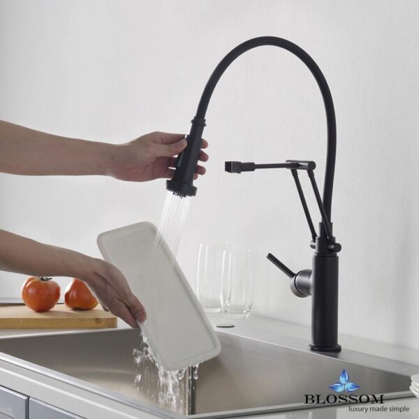 Blossom F01 208 04 Single Handle Pull Down Kitchen Faucet in Matte Black F01 208 04 F0120804