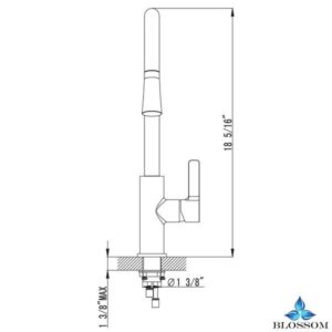 Blossom F01 113 02 Single Handle Lavatory Faucet in Brushed Nickel