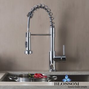 Blossom F01 205 01 Single Handle Pull Down Kitchen Faucet in Chrome