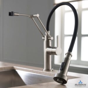 Blossom F01 208 02 Single Handle Pull Down Kitchen Faucet in Brush Nickel