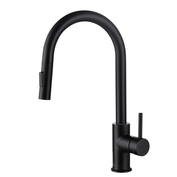 Blossom F01 206 16 1/2 Inch Single Handle Pull Down Kitchen Faucet