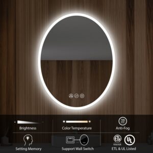 Blossom LED M6 2436 24 Inch Oval LED Mirror