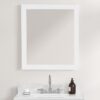 Blossom M6 30 30 Inch Mirror