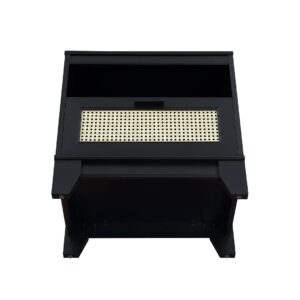 Manhattan Comfort Sheridan Modern Cane Nightstand in Black