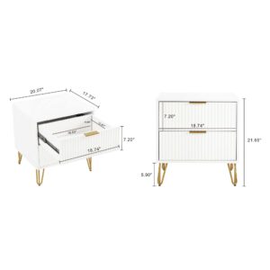 Manhattan Comfort DUMBO 2.0 Modern Nightstand with 2 Drawer and Metal Feet in White