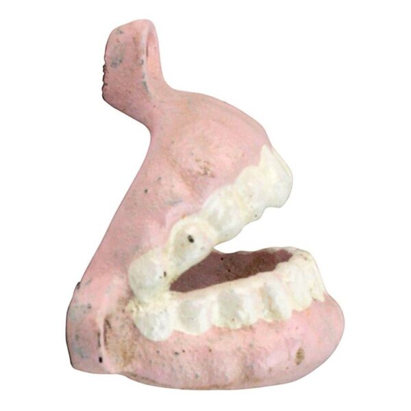 Design Toscano SP2309 3 Inch False Teeth Bottle Opener