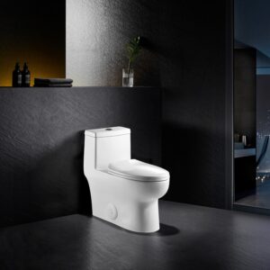 Altair T276 Venezia Dual Flush Elongated One-Piece Toilet with Seat - White