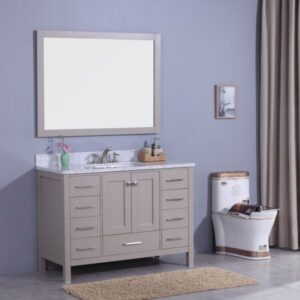 Legion Furniture WT7248-G 49 Inch Vanity Set with Mirror in Warm Gray, No Faucet