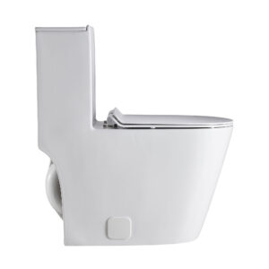 Dowell Siphonic One Piece Toilet – 091 2816 01