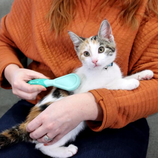 Lil Pals  Kitten Bristle Brush