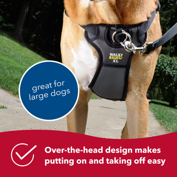 Walk Right!  Front-Connect No-Pull Padded Dog Harness