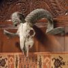 Design Toscano CL3377 18 1/2 Inch Corsican Ram Skull and Horns Plaque