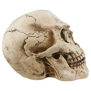 Design Toscano CL5054 13 Inch Sinister Simon Skull