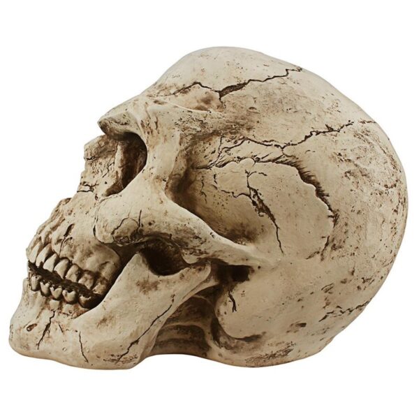 Design Toscano CL5054 13 Inch Sinister Simon Skull