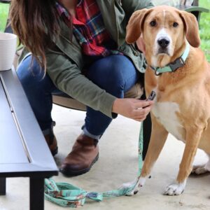 Water & Woods Adjustable Dog Collar